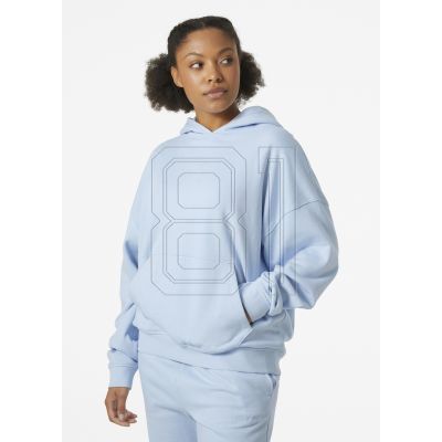 16. Helly Hansen Allure Hoodie W 53981 515
