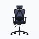 41. Ergonomic office chair ACTIVEJET T5 black