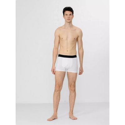 11. Boxer shorts 4F M H4Z22-BIM350-92S