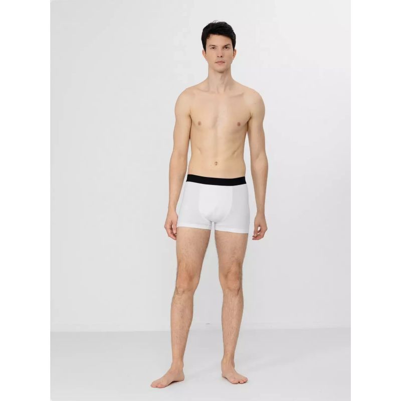 11. Boxer shorts 4F M H4Z22-BIM350-92S