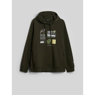 7. Men's regular hooded sweatshirt 4F 4FRAW26TSWSM3162-43S