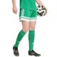 Adidas Squadra 25 women's shorts green JN7483