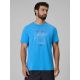 Men's regular printed T-shirt 4F 4FRSS26TTSHM4039-33S