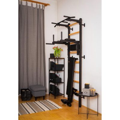 81. GYMNASTIC LADDER WITH A HAND BAR AND A BENCH KIT 723B