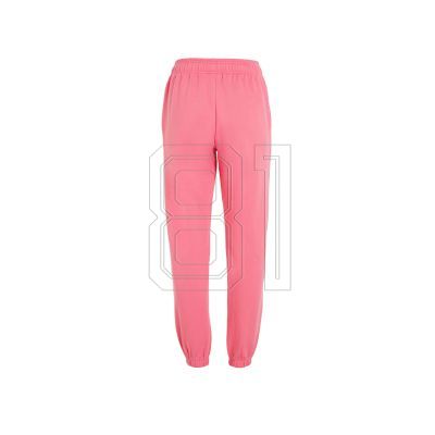 2. O'Neill Future Surf Society Jogger Pants W 92800613467