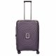 2. SwissBags Echo 16579 suitcase
