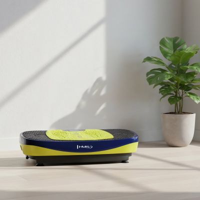 3. SVP11 VIBRATION PLATFORM WITH 3D OVERLAY 2 HMS MOTORS