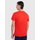 5. Men's regular printed T-shirt 4F 4FRAW25TTSHM3225-62S