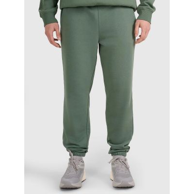 Men's sweatpants 4F 4FWAW25TTROM1272-41S