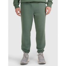 Men's sweatpants 4F 4FWAW25TTROM1272-41S