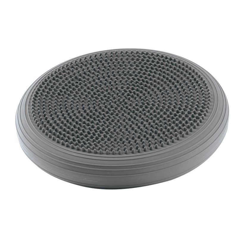 2. ECOWELLNESS QB 014 Balance Disc