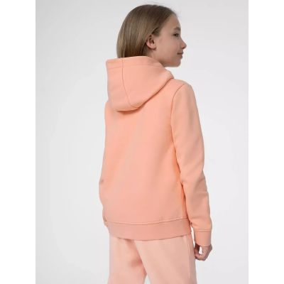 2. 4F Jr sweatshirt 4FJSS23TSWSF216-65S