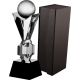 5. Glass trophy with case