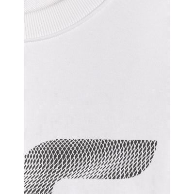 2. Men's sweatshirt without zipper and hood 4F 4FRAW25TSWSM2493-10S