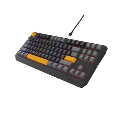 19. GENESIS Thor 230 TKL Gaming Keyboard USB + RF Wireless + Bluetooth QWERTY Black, Gray, Orange