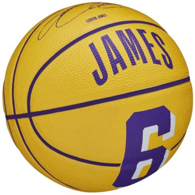2. Wilson NBA Player Icon Stephen Curry Mini Ball WZ4007401XB