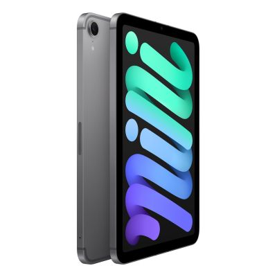 6. Apple iPad mini 5G TD-LTE & FDD-LTE 128GB 21.1 cm (8.3") Wi-Fi 6E (802.11ax) iPadOS 18 Gray