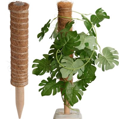 7. COCONUT PLANT SUPPORT 50CM PROGARDEN