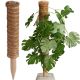 7. COCONUT PLANT SUPPORT 50CM PROGARDEN