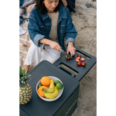 8. Anker EverFrost 33L Travel Refrigerator Electric Black