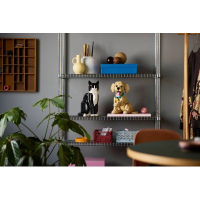 16. LEGO 11384 Icons - Golden Retriever Puppy