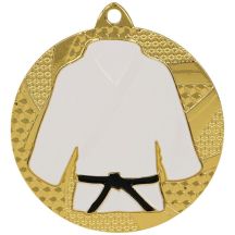 Gold medal judo/karate