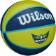 11. WILSON WNBA TEAM TRIBUTE BASKETBALL BSKT DAL WINGS YEAR 6