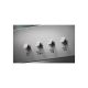 80. ELECTROLUX LFC316X chimney hood