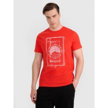 Men's regular t-shirt with volleyball print 4F 4FRAW25TTSHM3236-62S