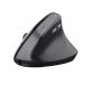 21. TRUST BAYO II ERGONOMIC WIRELESS MOUSE BLK (25145)