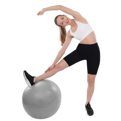 12. FITNESS BALL 65CM ANTIBURST GRAY