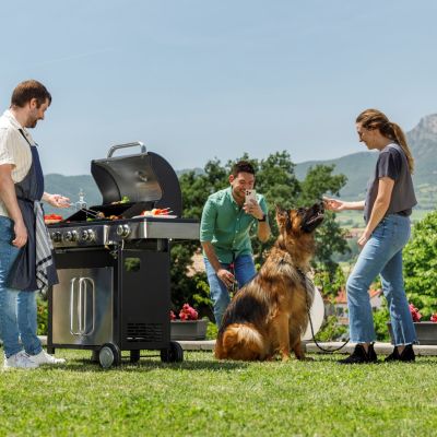 3. Gas grill Black+Decker BXOG12950E (3 burners x 3.6 kW + 1 side burner 2.1 kW)