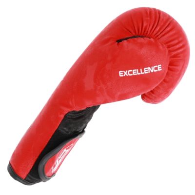 12. Masters Leather Boxing Gloves RBT-MATT 12 oz 01333-MATT12