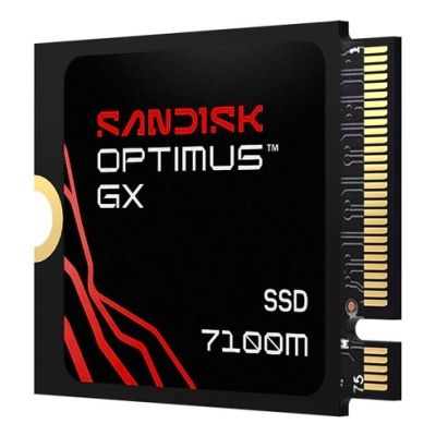 2. Sandisk Optimus GX 7100M 1TB SSD SDSP71100TAT