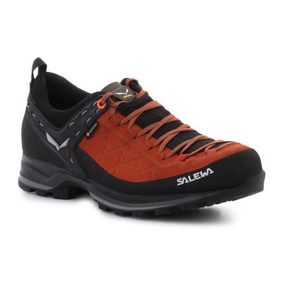 Salewa MS MTN Trainer 2 GTX M shoes 61356-7519