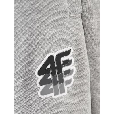 8. Men's jogger sweatpants 4F 4FRAW26TTROM2176-27M