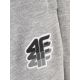 8. Men's jogger sweatpants 4F 4FRAW26TTROM2176-27M