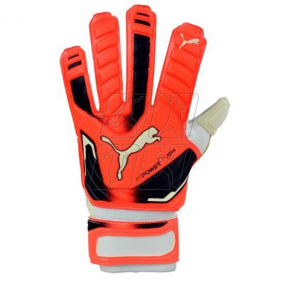 2. Puma Evo Power Grip 2 Aqua 41145 30 Goalkeeper gloves