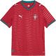 2. Puma FPF Portugal Home Jersey Replica Club Kids T-shirt Red 783281 01