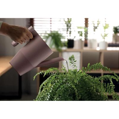 2. WATERING CAN IBIS JUG GREEN PINE