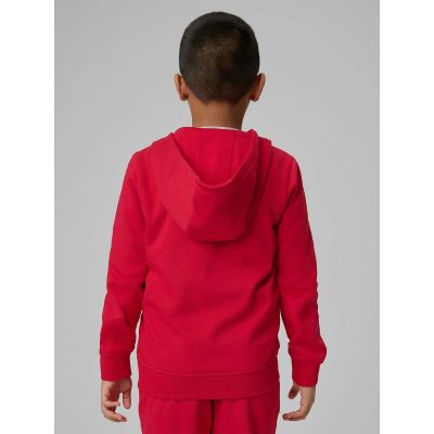 2. Boy's regular hooded sweatshirt 4F 4FJRSS26TSWSM2749-62S