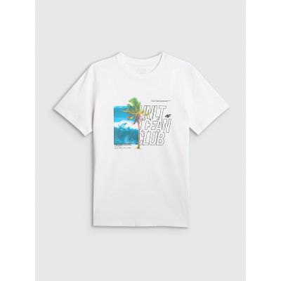 5. Men's regular printed T-shirt 4F 4FRSS26TTSHM4303-10S