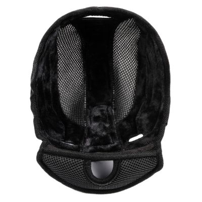 13. Meteor Holo 24960 Ski Helmet