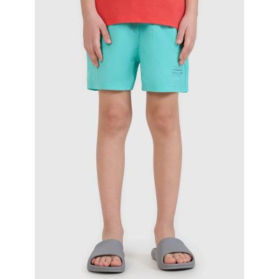 2. Boys' boardshorts 4F 4FJWSS25UBDSM117-47S