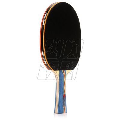 3. Table tennis racket Meteor Dust Devil 15020