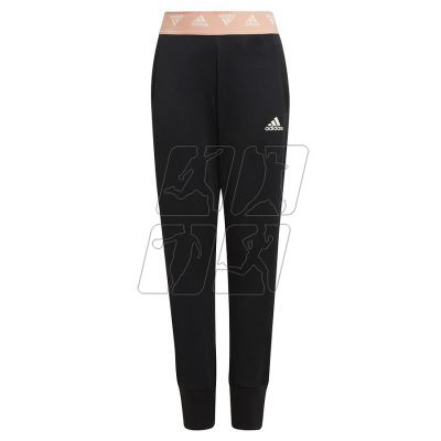 Adidas G UP2MV Pants Jr GV2039