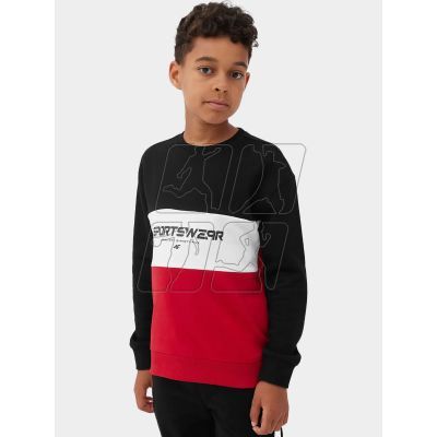 3. 4F Jr sweatshirt 4FJAW23TSWSM630-20S