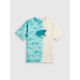 5. Boy's cotton T-shirt 4F 4FJRSS26TTSHM4168-90A