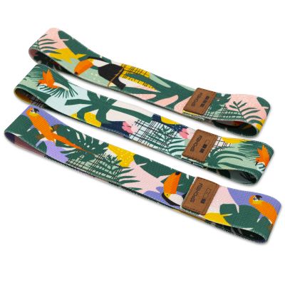 22. Spokey Home Jungle SPK-941536 Training Band Set
