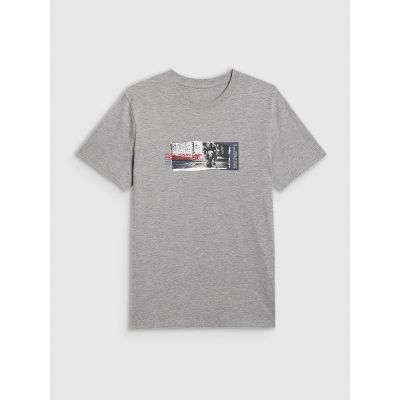 8. Men's regular printed T-shirt 4F 4FRAW25TTSHM3364-27M